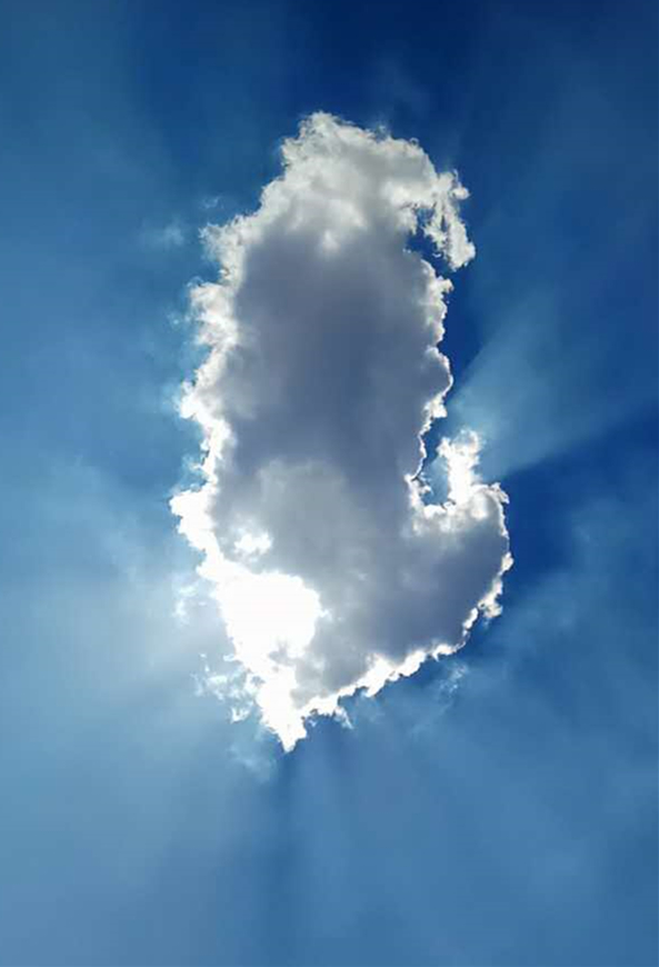 1497841064799736kZIt.jpg ÃÀµÄ²»ÏñÑù.jpg