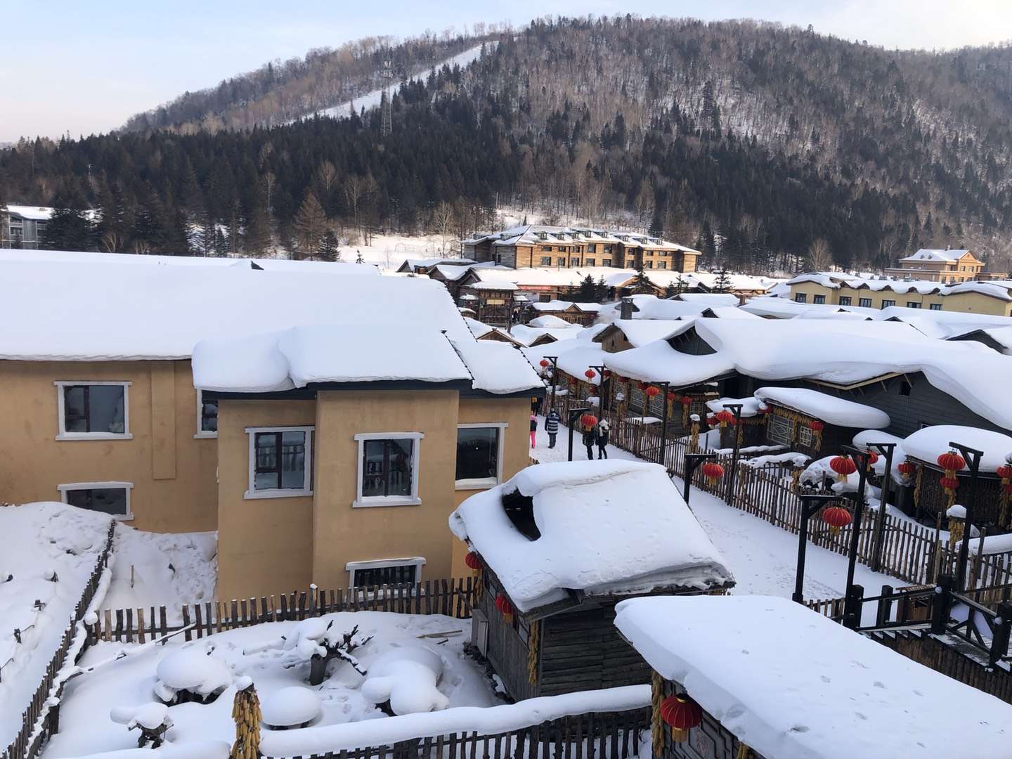 1550017387613013TMpg.jpg ΢ÐÅͼƬ_20190211075017.jpg